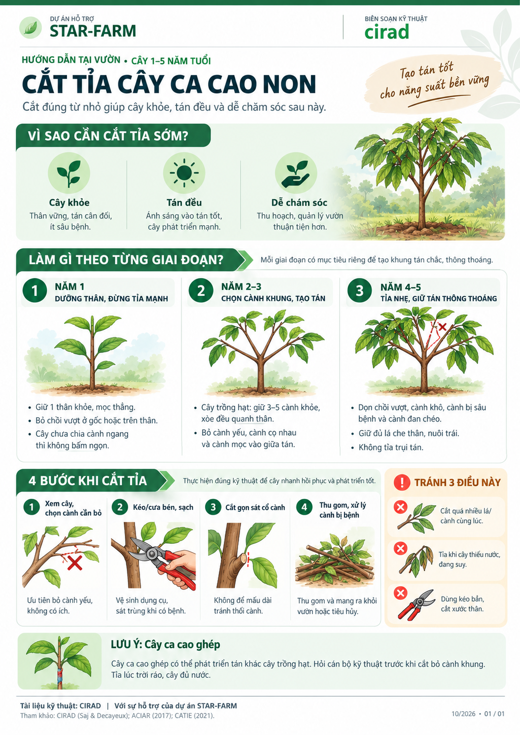 Guide de taille des jeunes cacaoyers STAR-FARM